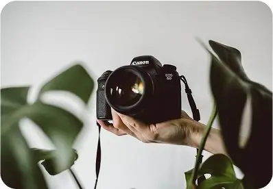Camera with Monstera Leaf